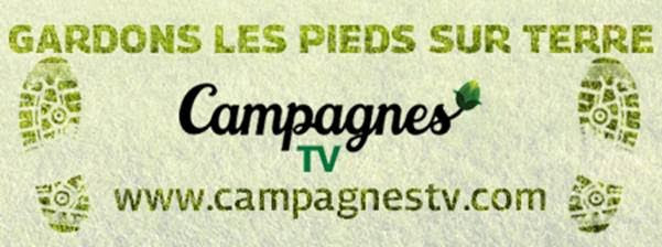 scampagne tv log